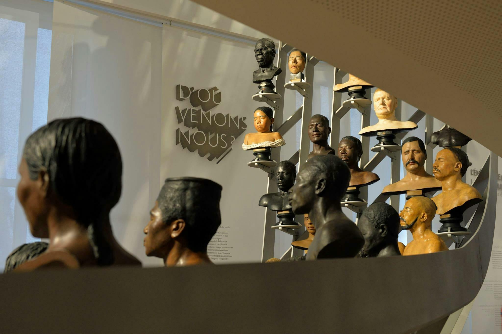 Museum of Humanity (Musée de l'Homme) Ticket 