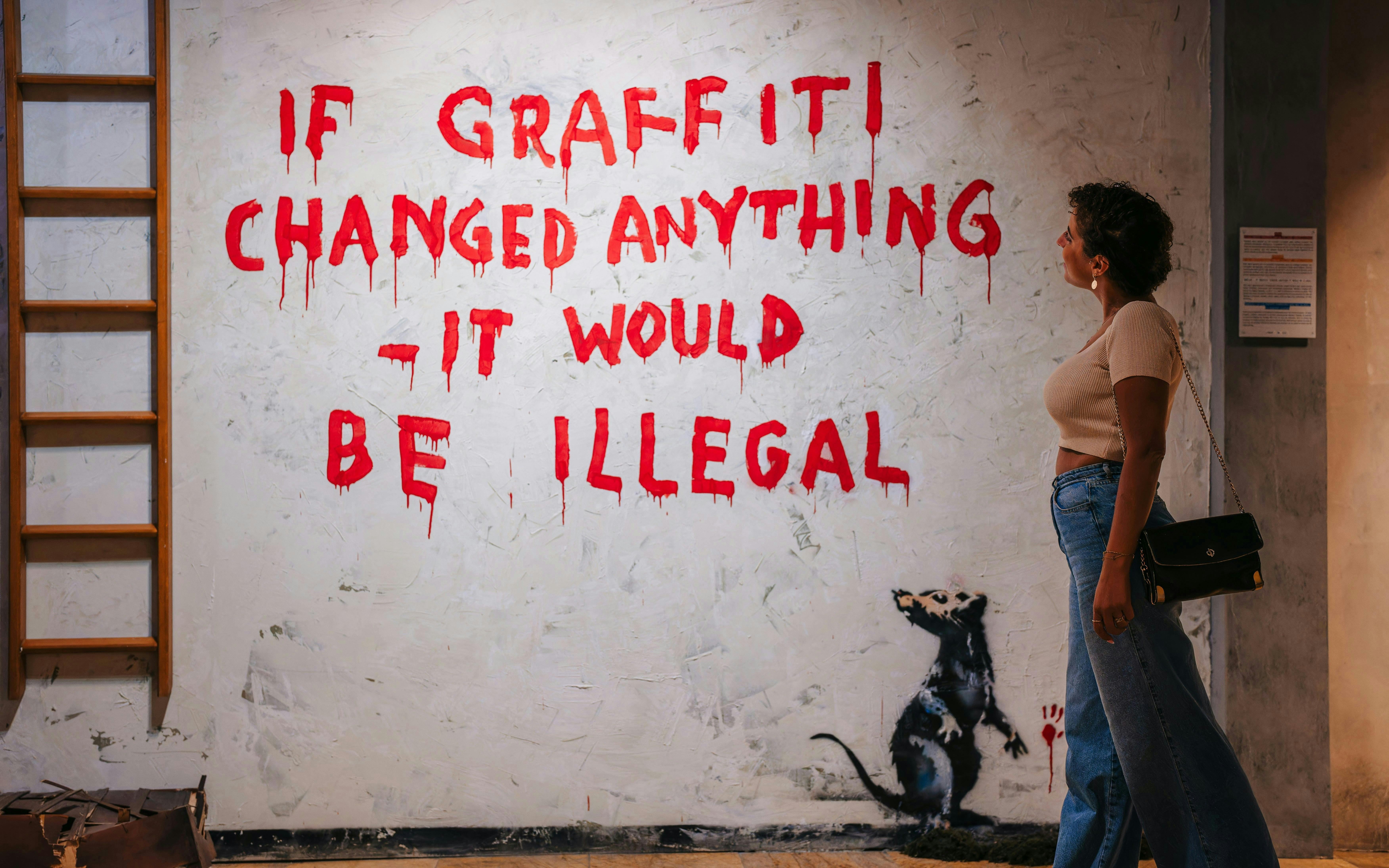 The World of Banksy: Exhibition Paris Review