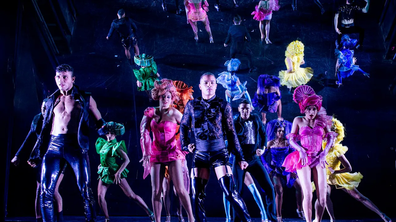 Paradis Latin Cabaret Night Show Category