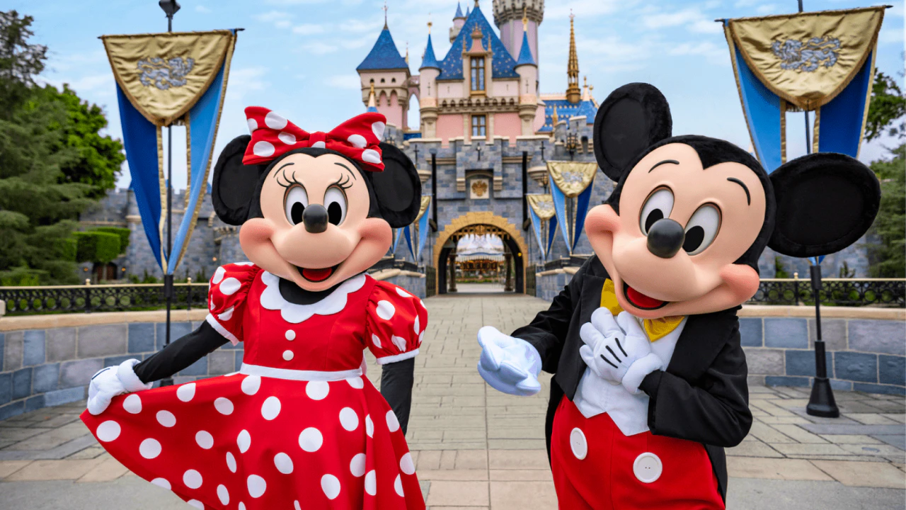 Disneyland California 3 Day Ticket Ticket