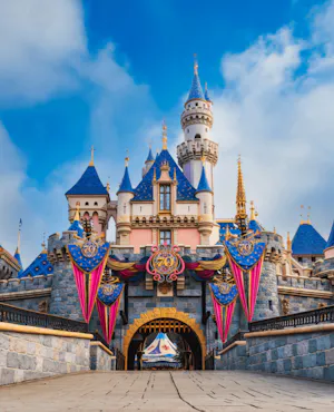 Disneyland California 3-Day Ticket