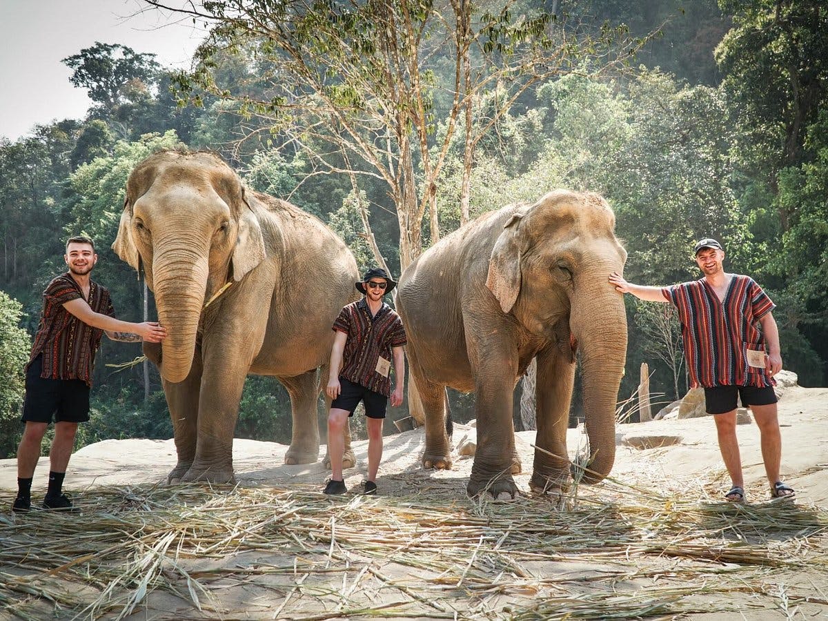 COMBO: Chiang Mai Night Safari + Elephant Jungle Sanctuary Review