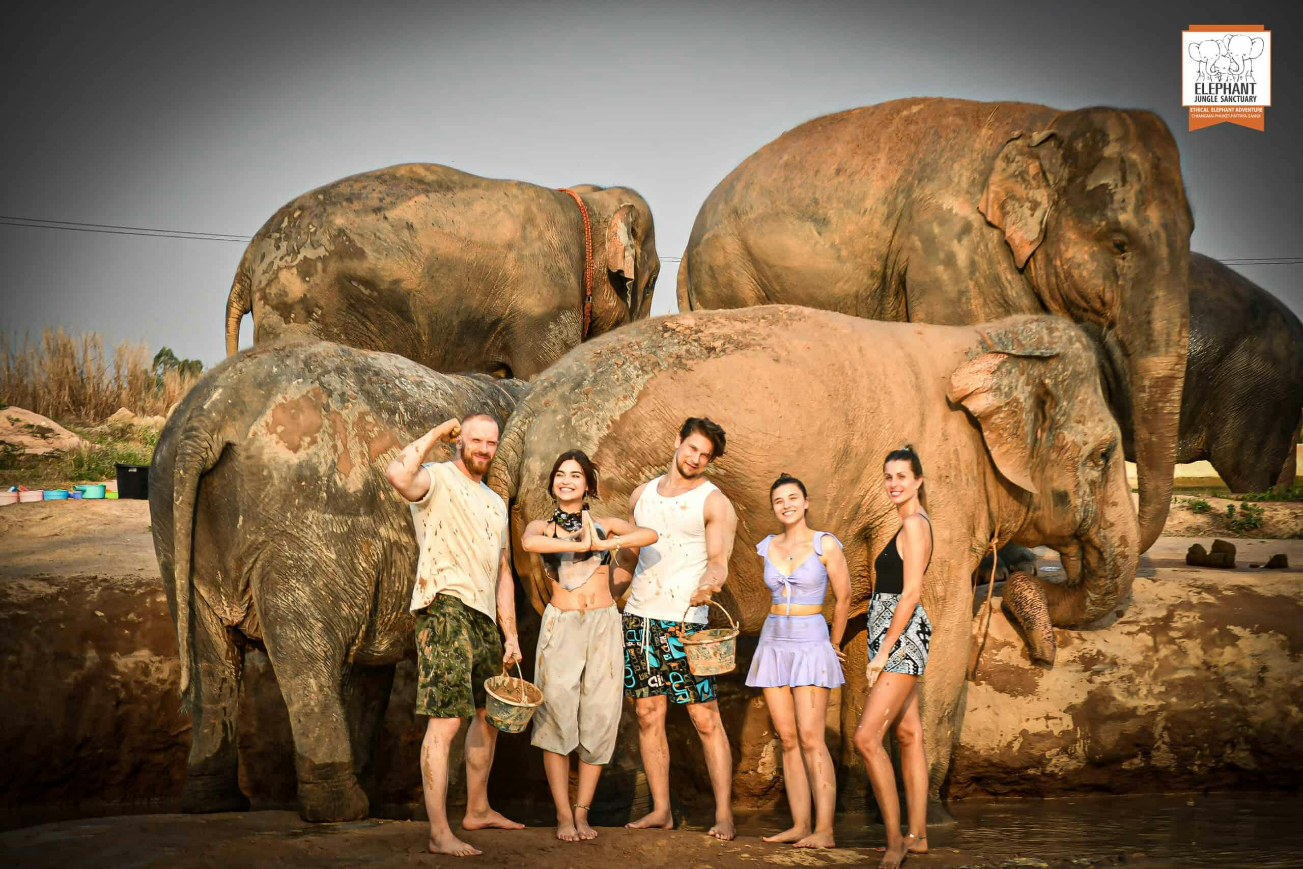 COMBO: Chiang Mai Night Safari + Elephant Jungle Sanctuary Thrillark