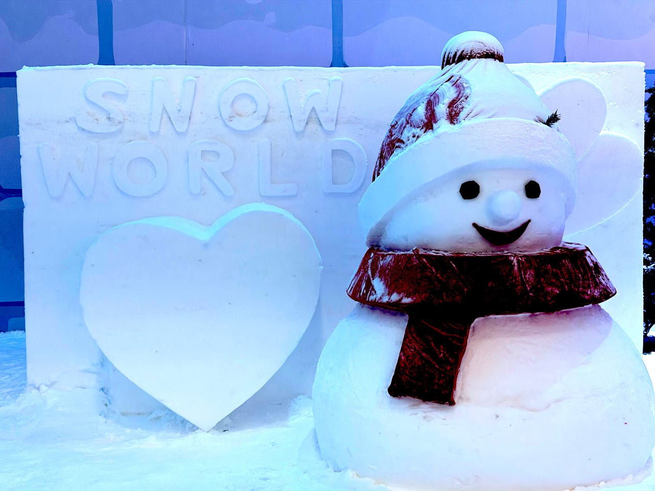 Snow World Theme Park Ticket  Category