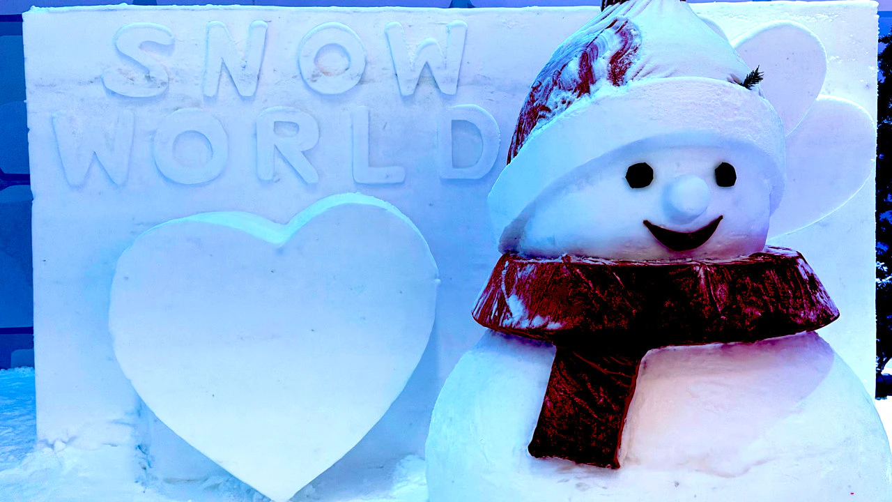 Snow World Theme Park Ticket Category