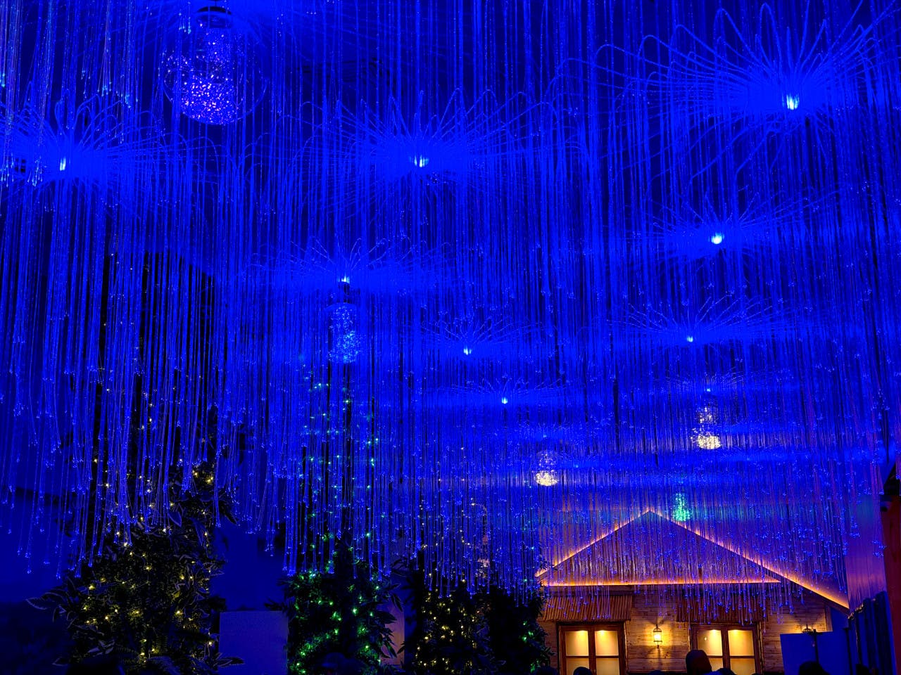 Snow World Theme Park Ticket  Ticket