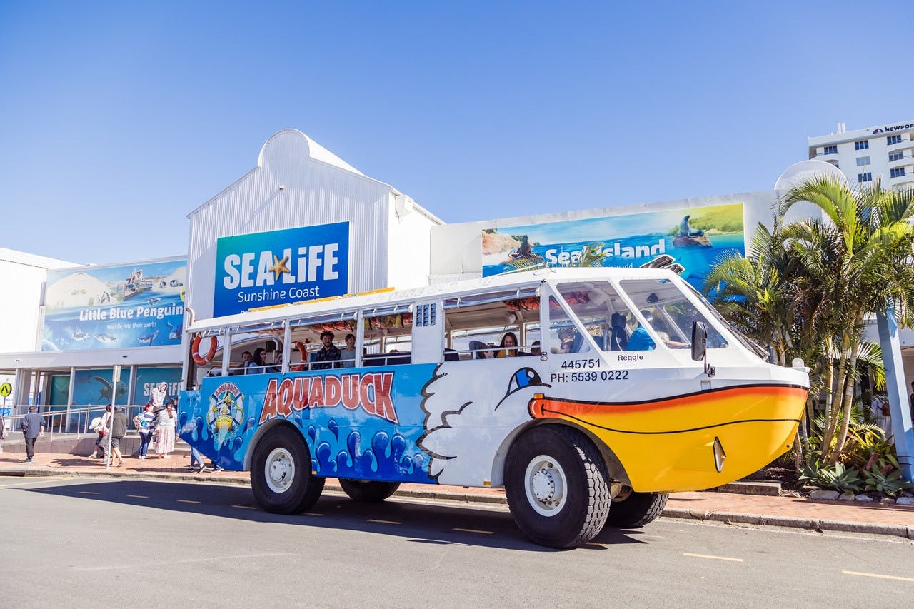 Aquaduck Sunshine Coast City and River Tour Price