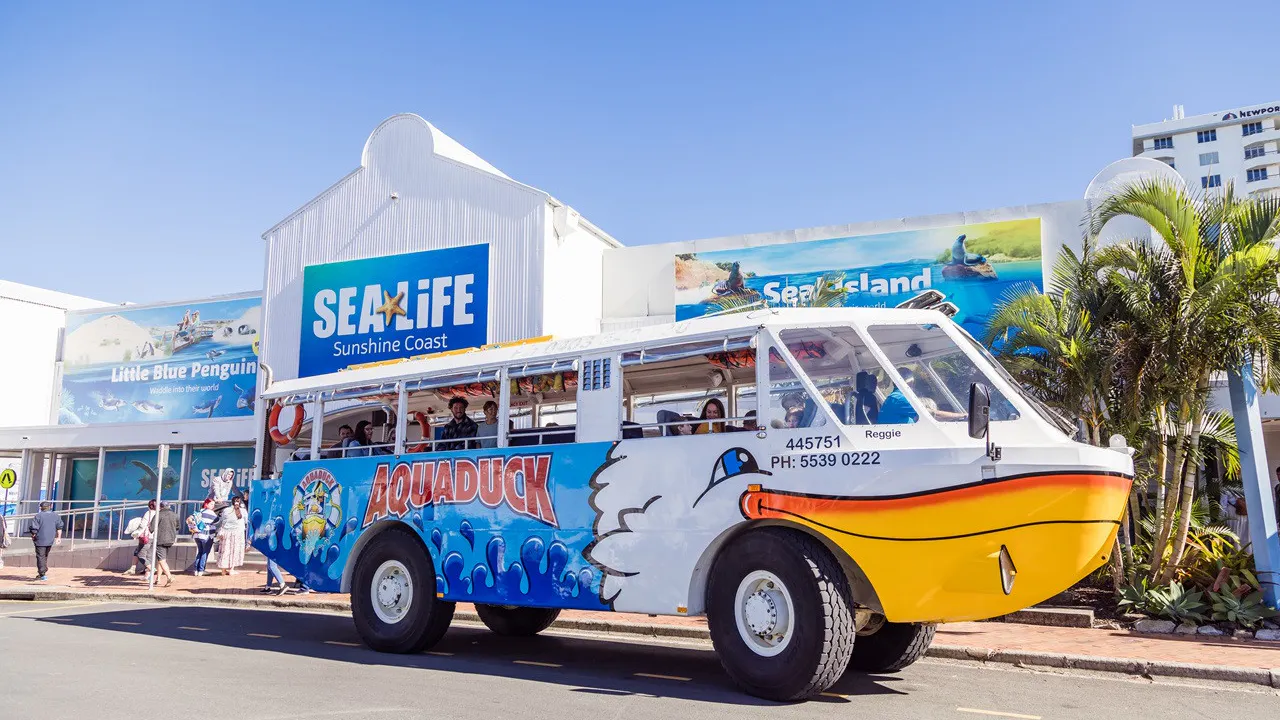 Aquaduck Sunshine Coast City and River Tour Price