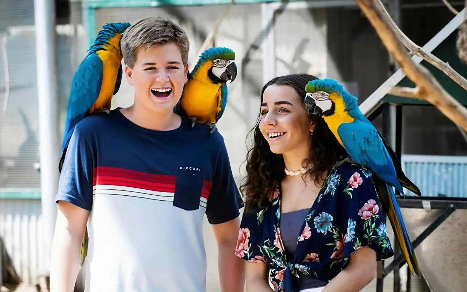 Maleny Botanic Gardens & Bird World Ticket 