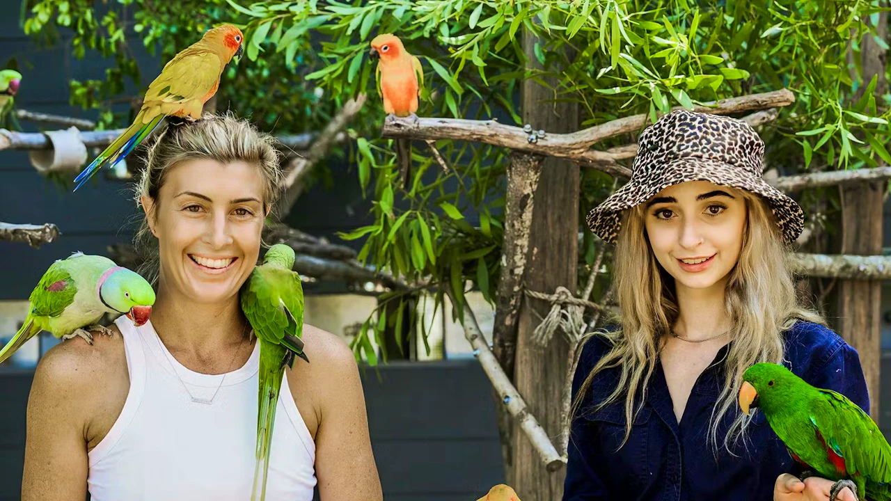 Maleny Botanic Gardens & Bird World Ticket Category