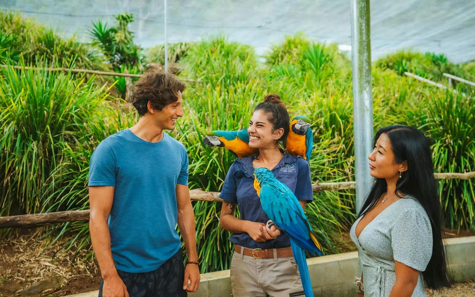 Maleny Botanic Gardens & Bird World Ticket Price