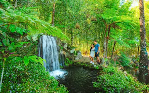 Maleny Botanic Gardens & Bird World Ticket