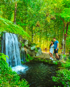 Maleny Botanic Gardens & Bird World Ticket