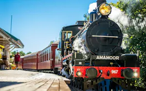 Mary Valley Rattler Train Ticket
