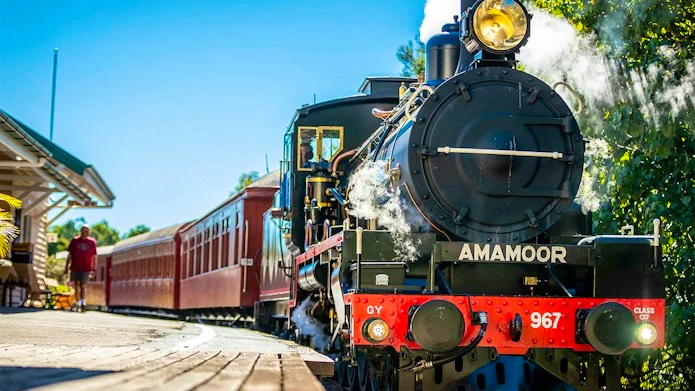 Mary Valley Rattler Train Ticket Category