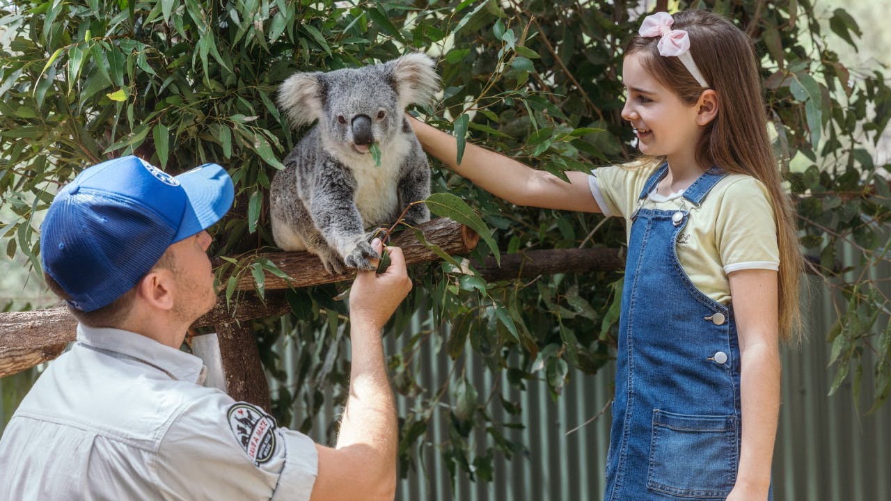 Paradise Country Gold Coast Ticket Ticket