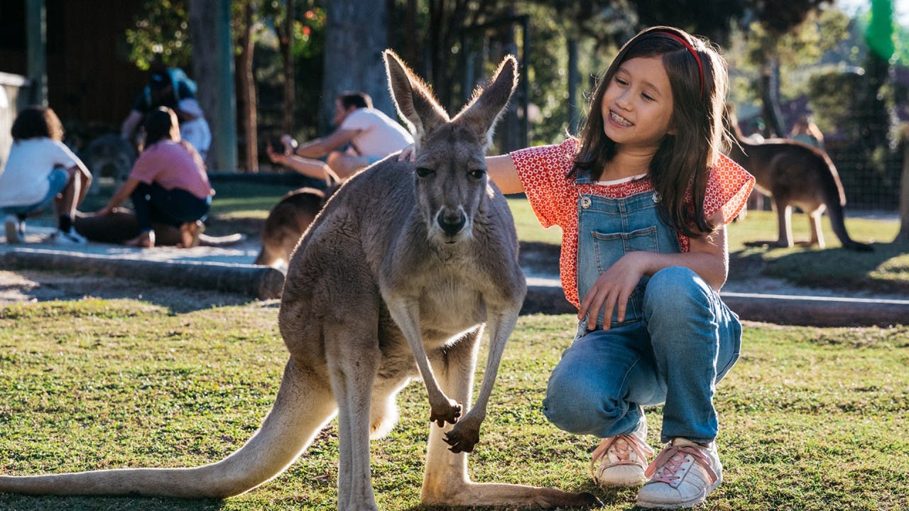 Paradise Country Gold Coast Ticket