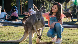 Paradise Country Gold Coast Ticket