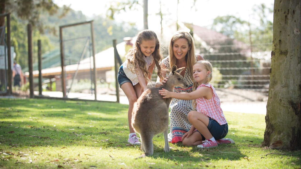 Paradise Country Gold Coast Ticket Discount