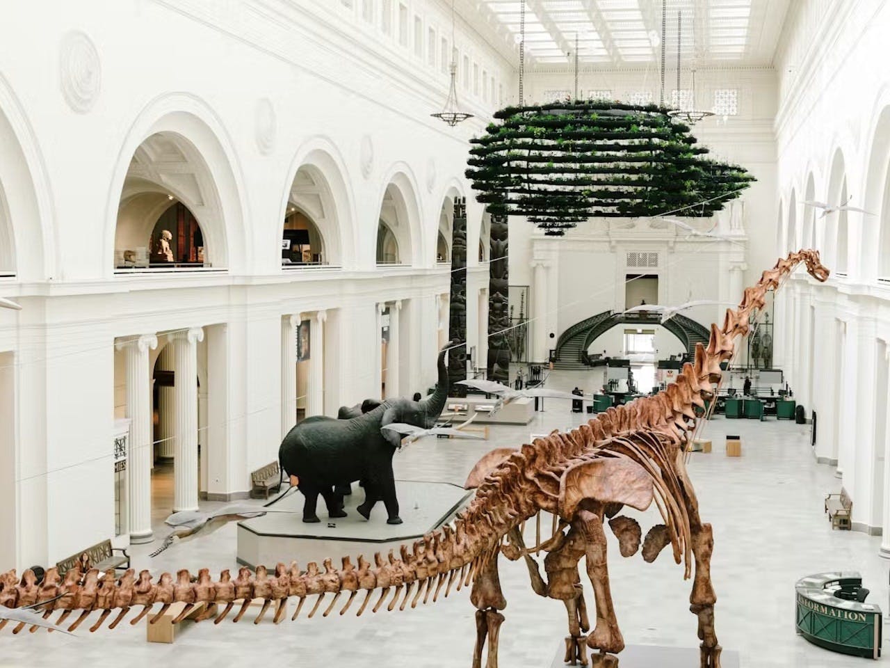 The Field Museum of Natural History Ticket + The Art Institute of Chicago Ticket