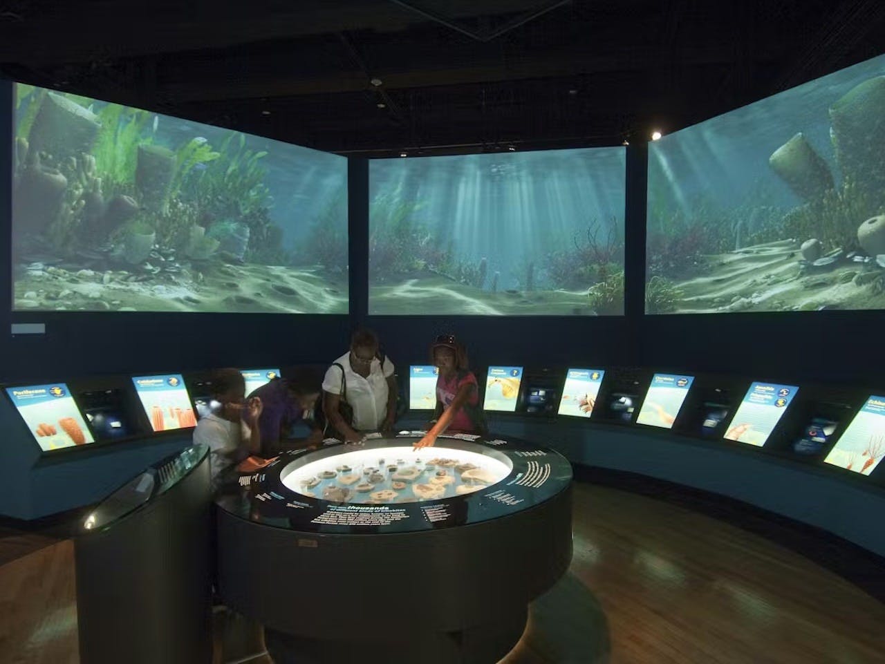 The Field Museum of Natural History Ticket + The Art Institute of Chicago Price