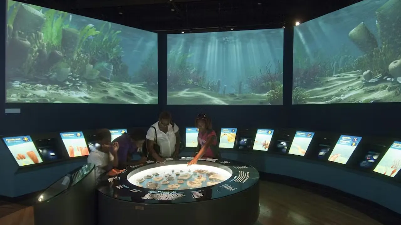 The Field Museum of Natural History Ticket + The Art Institute of Chicago Price