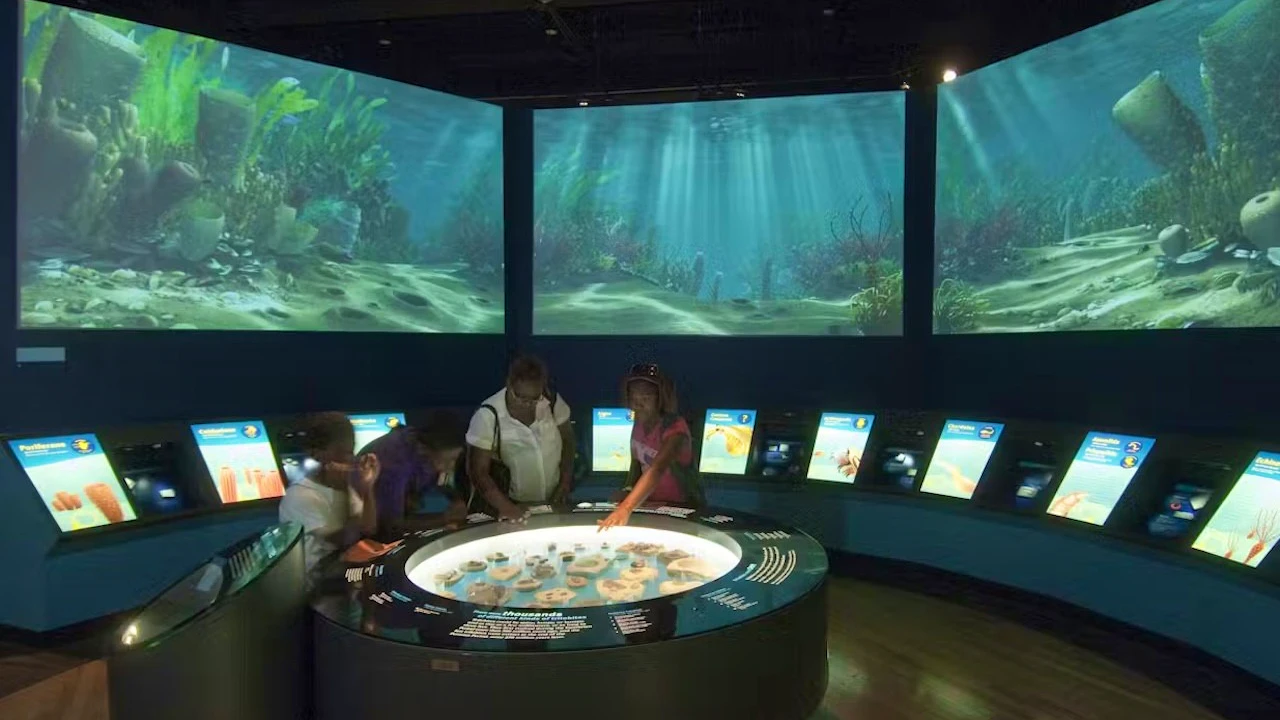 The Field Museum of Natural History Ticket + The Art Institute of Chicago Price