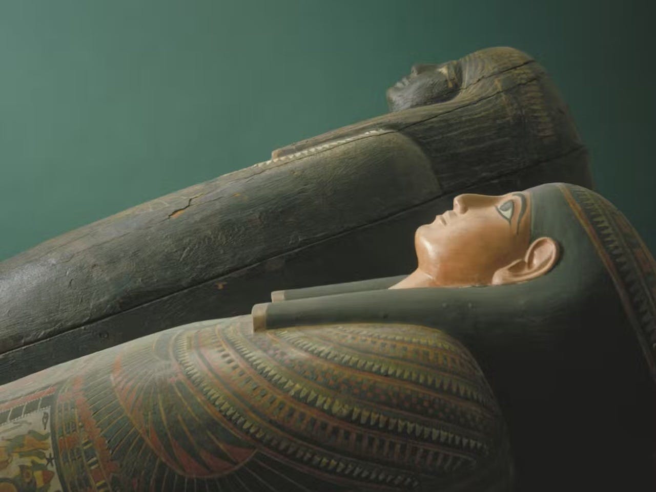 The Field Museum of Natural History Ticket + The Art Institute of Chicago Discount