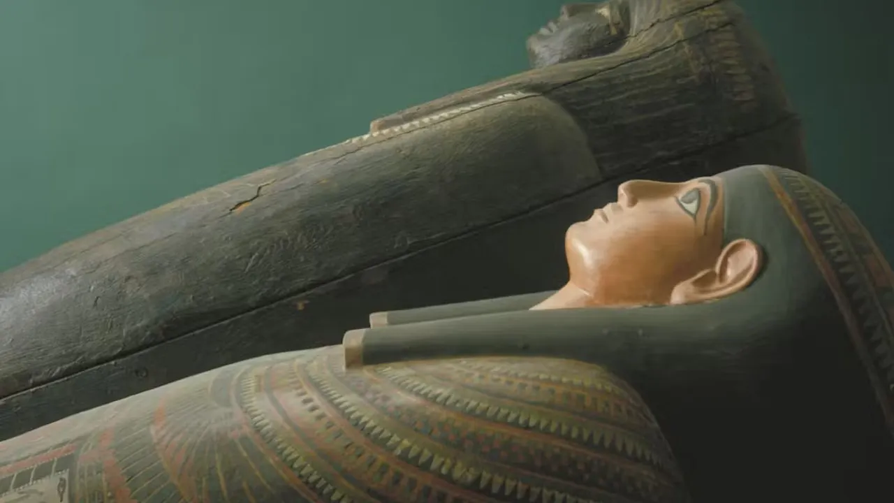 The Field Museum of Natural History Ticket + The Art Institute of Chicago Discount