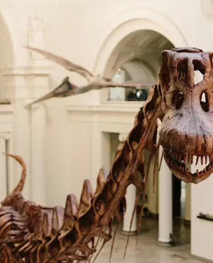 The Field Museum of Natural History Ticket + The Art Institute of Chicago