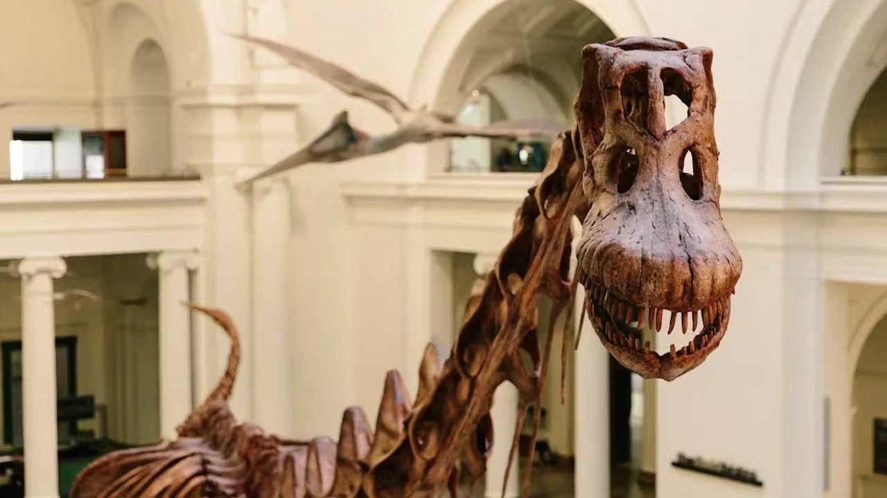 The Field Museum of Natural History Ticket + The Art Institute of Chicago