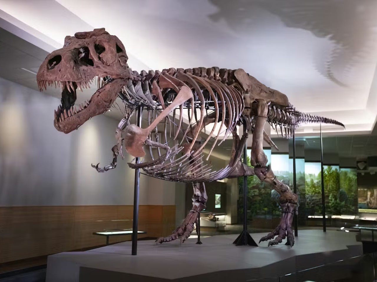 The Field Museum of Natural History Ticket + The Art Institute of Chicago 