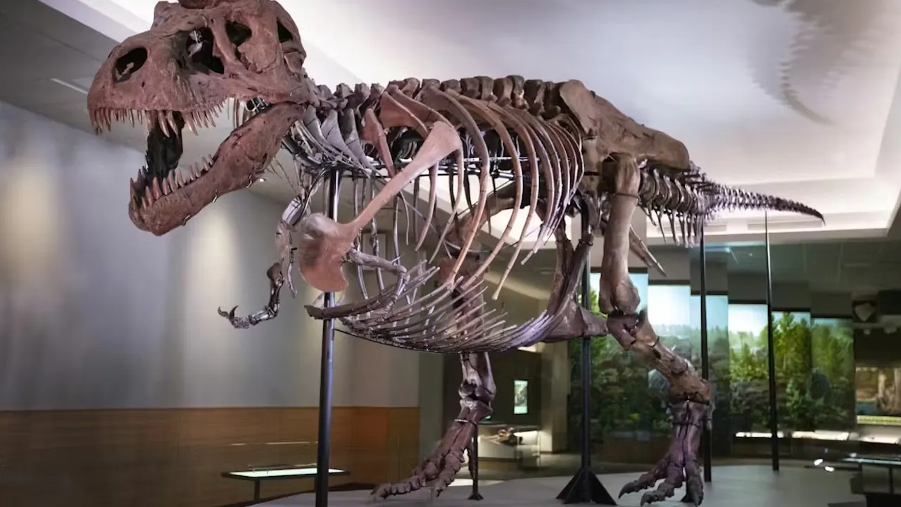 The Field Museum of Natural History Ticket + The Art Institute of Chicago