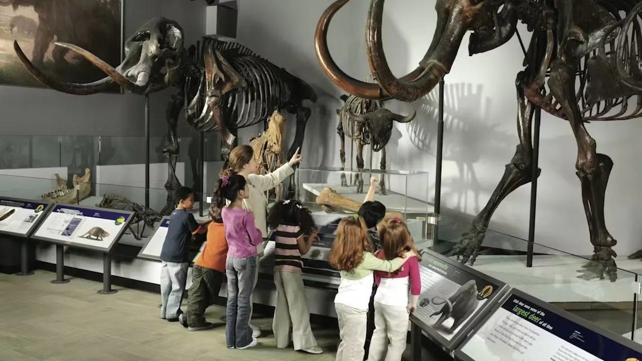 The Field Museum of Natural History Ticket + The Art Institute of Chicago