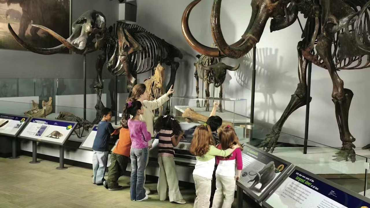 The Field Museum of Natural History Ticket + The Art Institute of Chicago