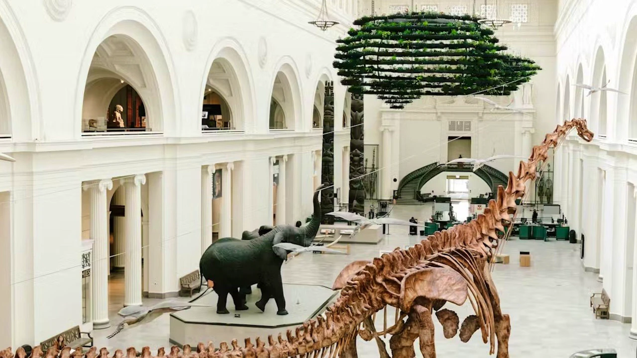Navy Pier Centennial Wheel Ticket + The Field Museum of Natural History Ticket Discount