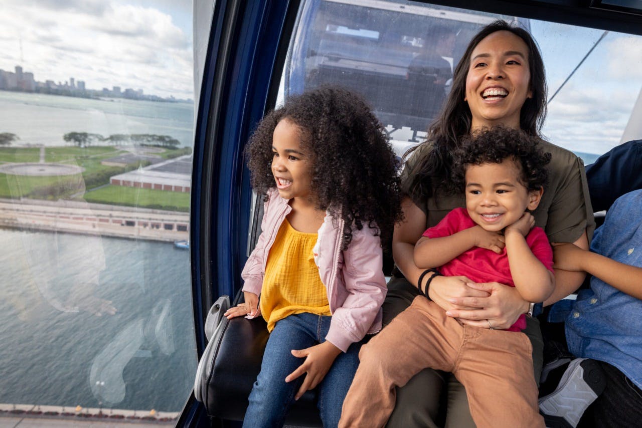 Navy Pier Centennial Wheel Ticket + The Field Museum of Natural History Ticket Thrillark