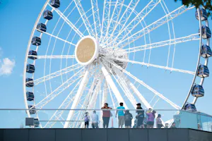 Navy Pier Centennial Wheel Ticket + The Art Institute of Chicago