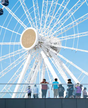 Navy Pier Centennial Wheel Ticket + The Art Institute of Chicago