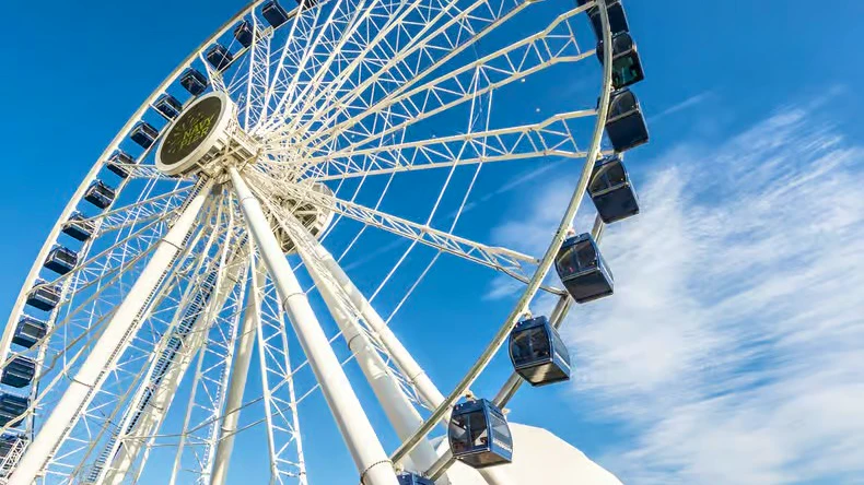 Navy Pier Centennial Wheel Ticket + The Art Institute of Chicago