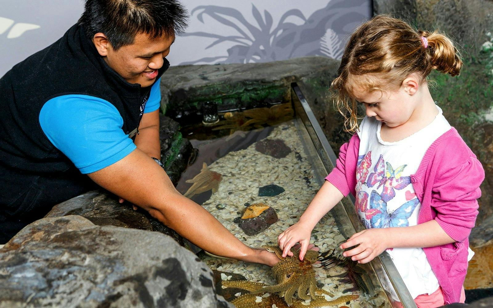 SEA LIFE Kelly Tarlton’s Aquarium Ticket Discount