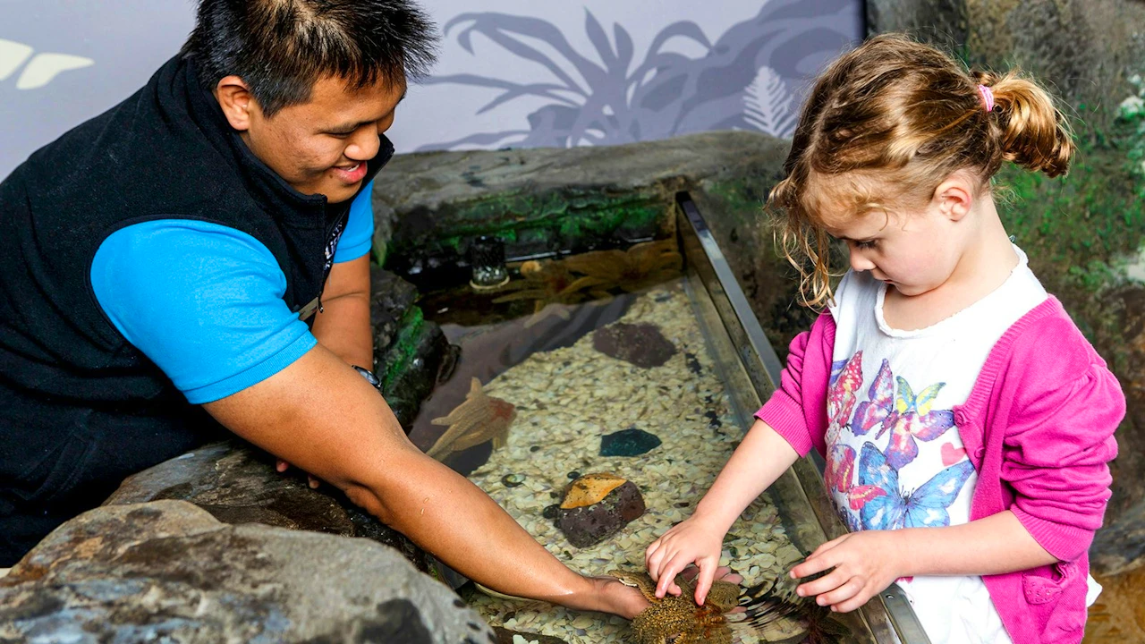 SEA LIFE Kelly Tarlton’s Aquarium Ticket Discount