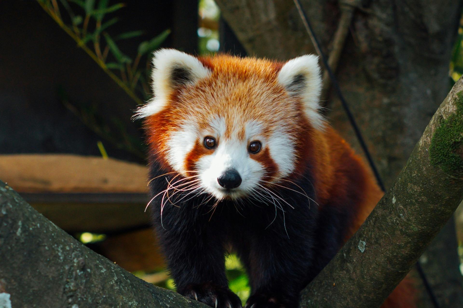 Auckland Zoo Ticket Location