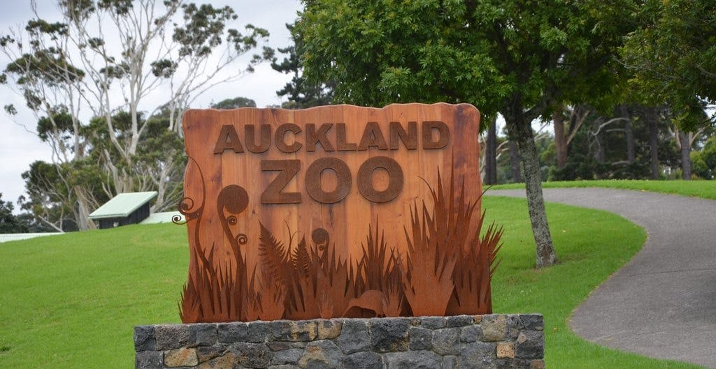 Auckland Zoo Ticket