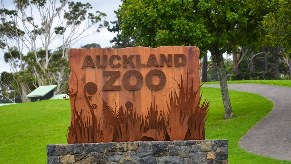 Auckland Zoo Ticket