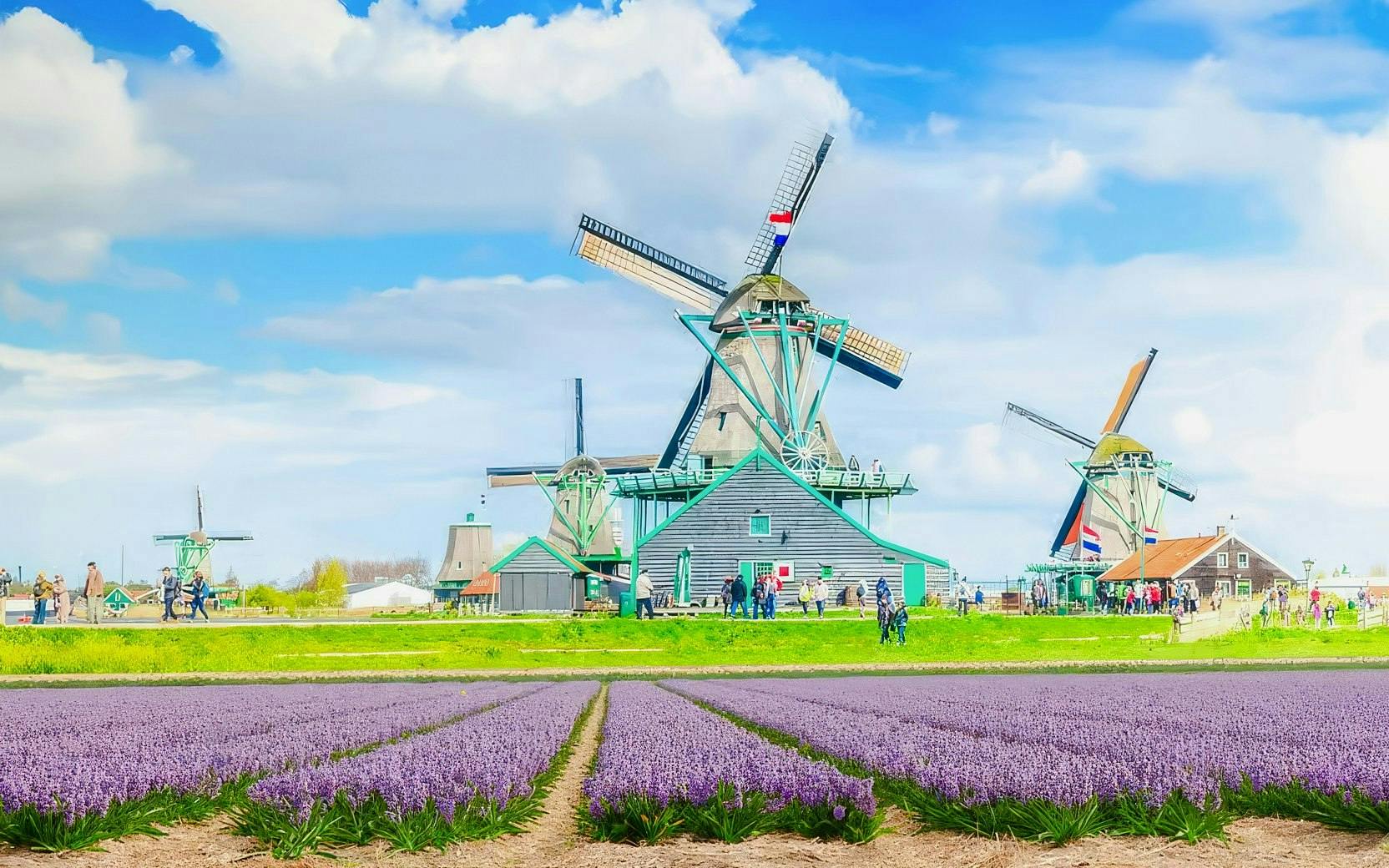 Zaanse Schans Windmill Village Tour with Transfers Review