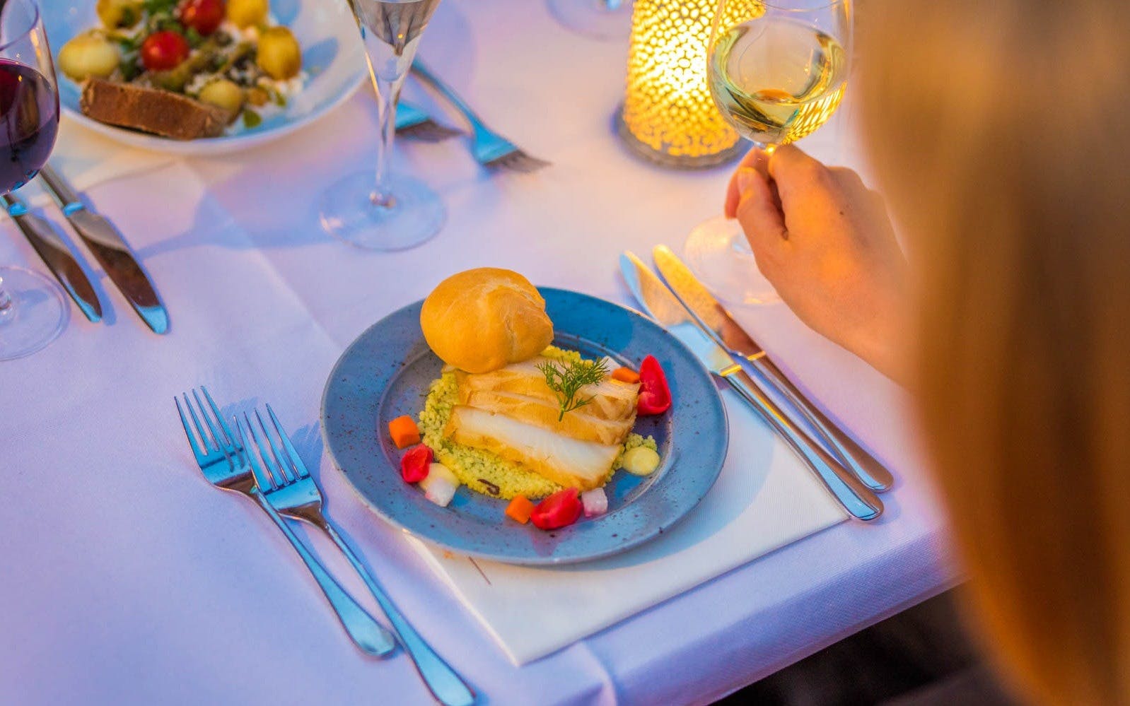 Amsterdam Canal Cruise with Dinner Review