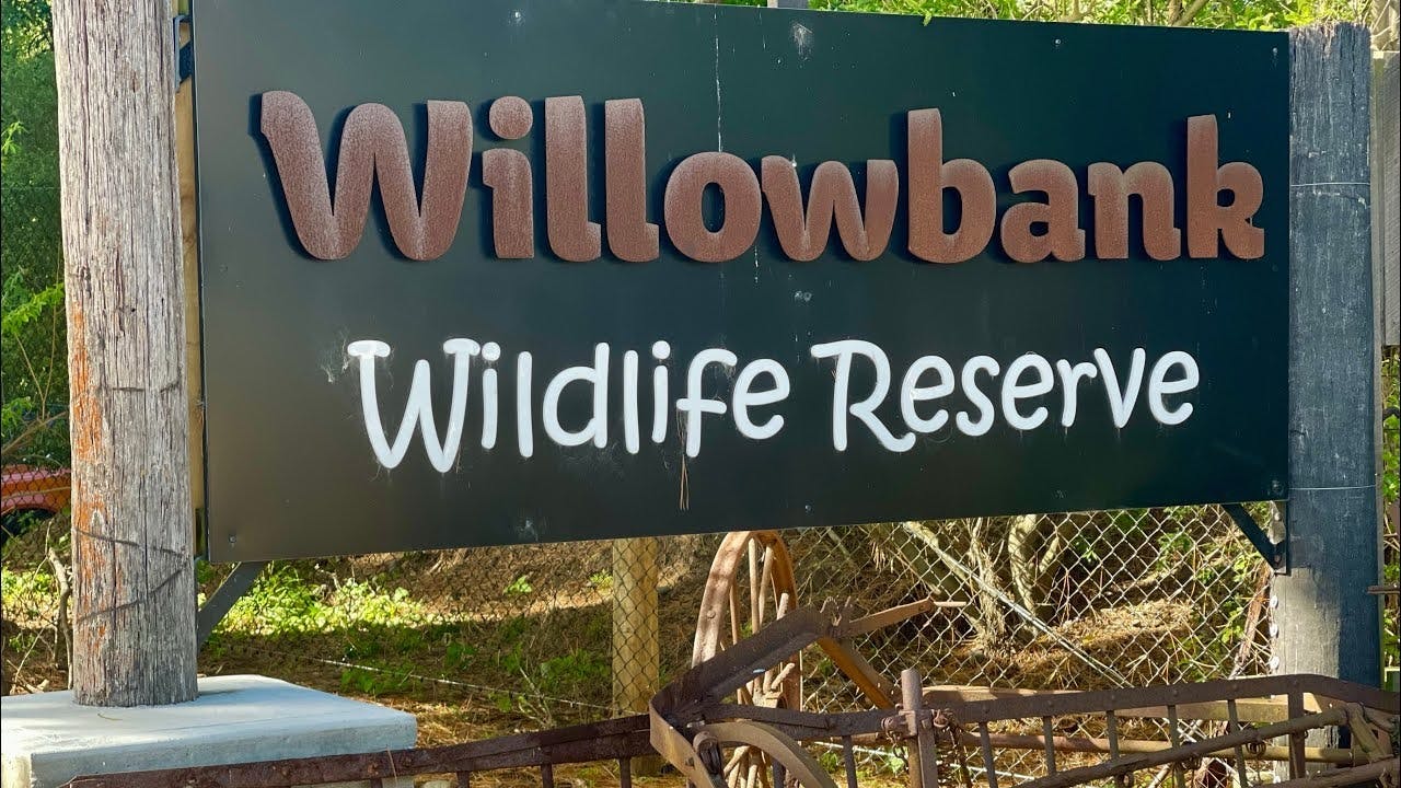 Willowbank Wildlife Reserve Tickets