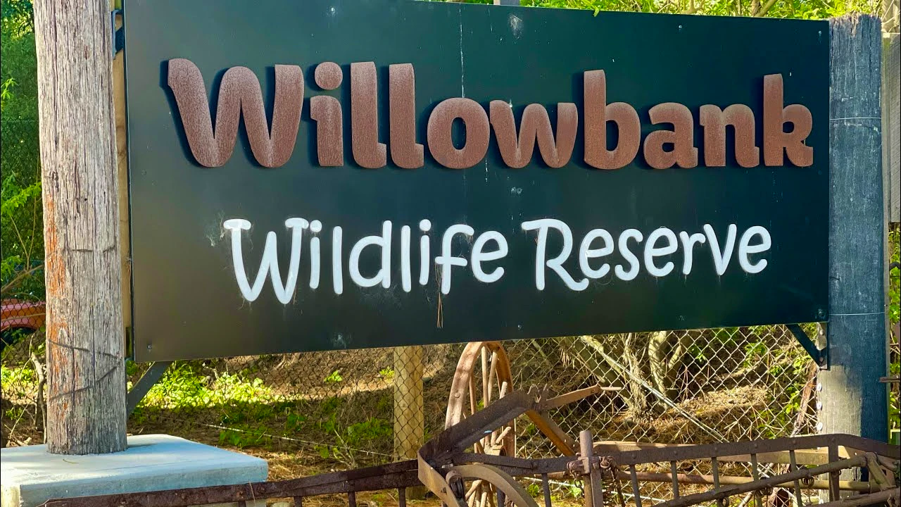 Willowbank Wildlife Reserve Tickets