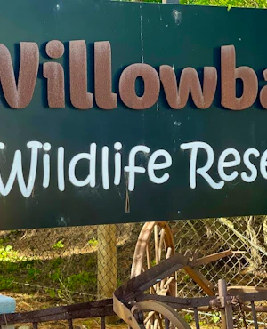 Willowbank Wildlife Reserve Tickets